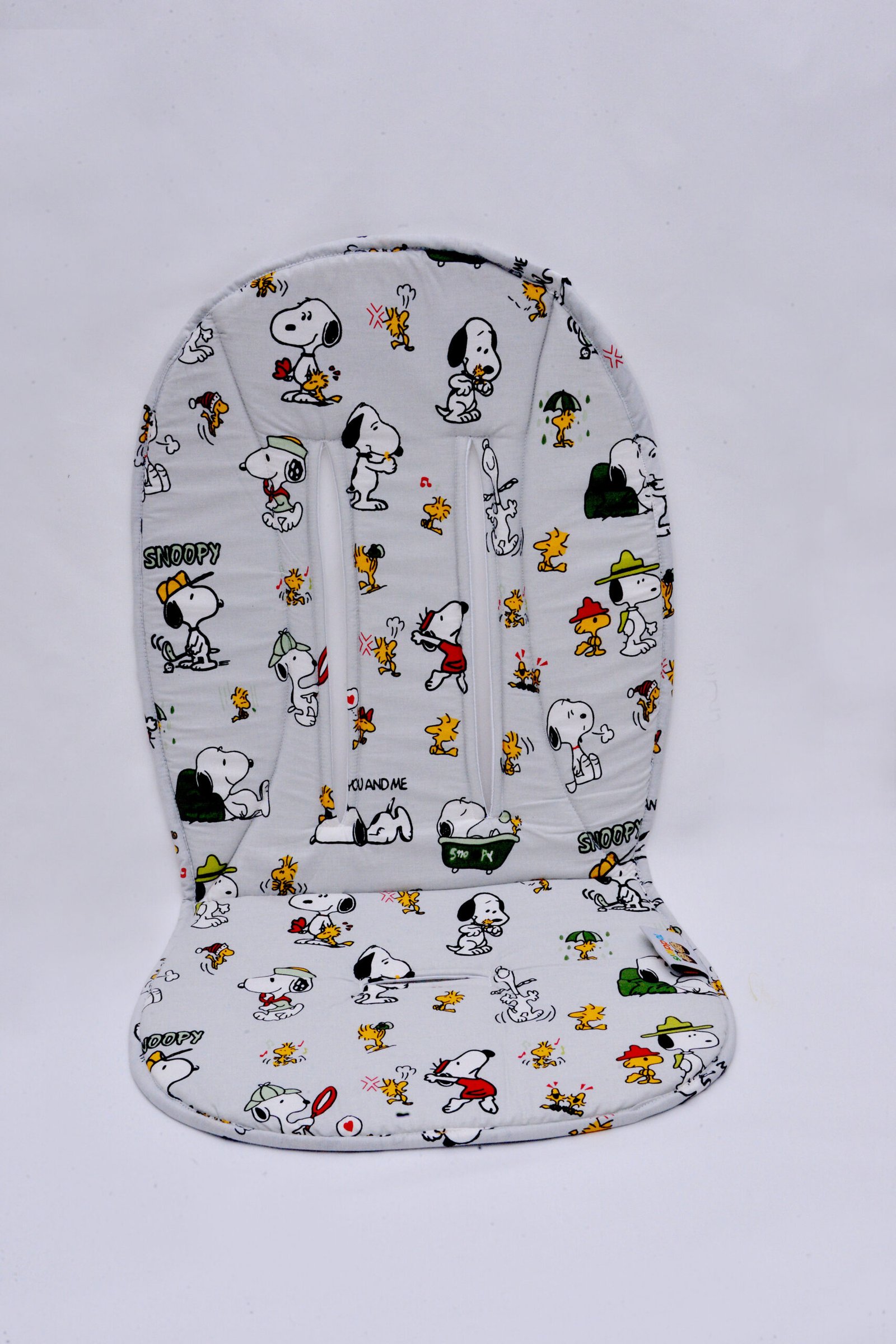 cache snoopy gris